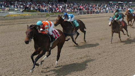 horse racing results 49s|Equibase .
